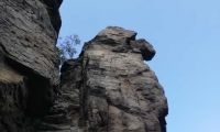 Gerlinde Schulmeister: Hoher Stein in der Wachau 15.08.2021