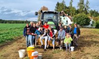 Erpfiklauben am Gemeinschaftsacker in Josefsdorf 14.10.2023