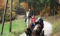 Maria Haderer: Pferdekutschenfahrt in Ober Neustift