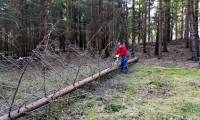 Erna Jahn versucht sich in der Waldarbeit