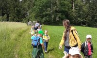 Kindergarten Etzen: "Bienen-Wandertag" zu Josef Samec in Ober Neustift - Juni 2024