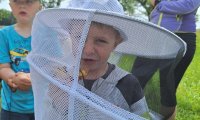 Kindergarten Etzen: "Bienen-Wandertag" zu Josef Samec in Ober Neustift - Juni 2024