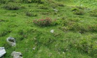 Rudi Jahn: Wiedersbergerhorn, Alpach  21.0.7.2021