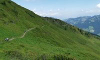 Rudi Jahn: Wiedersbergerhorn, Alpach  21.0.7.2021