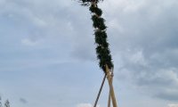 Maibäume 2022: Maibaum Josefsdorf