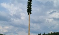 Maibäume 2022: Maibaum Josefsdorf