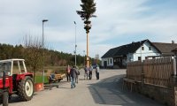 Maibäume 2022: Maibaum Etzen