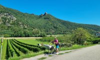 Schwarzinger, Fischer, Jahn: Radeln Wachau 06.08.2024