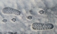 Christl Binder: Zwei Spuren im Schnee