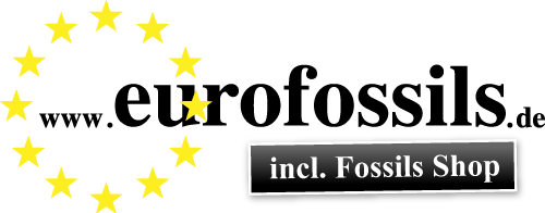 Eurofossils Fossilien-Shop