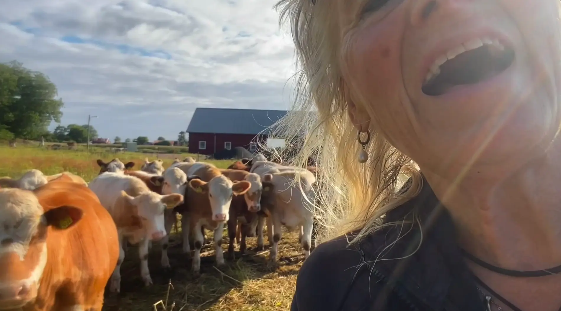 Konsert i visingsö