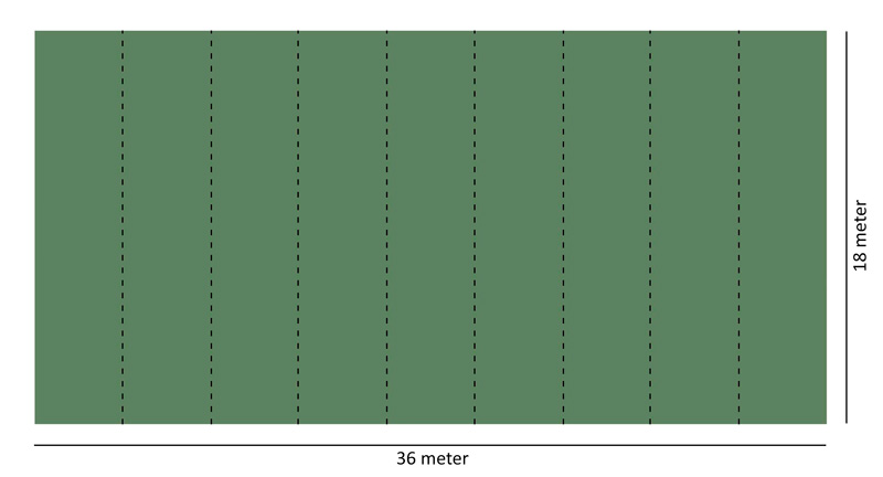 DMD Italgreen