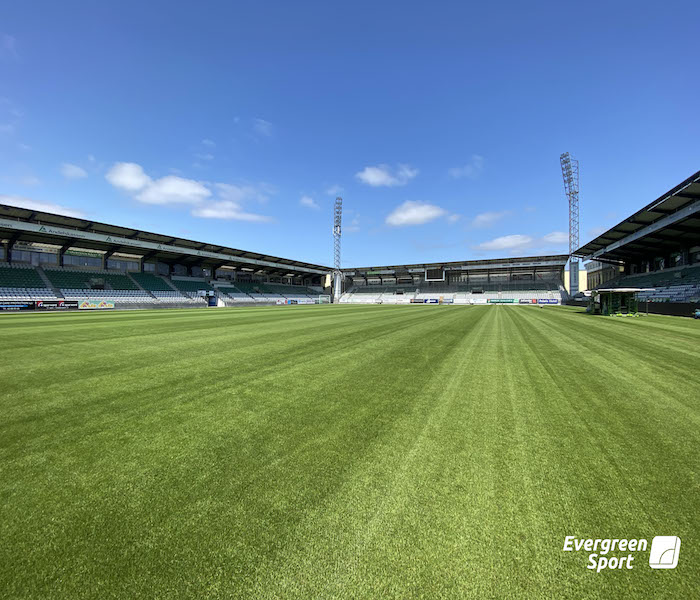 Viborg Stadion, Hybridgræs, Damelandsholdet fodbold, Evergreen Sport 23072021