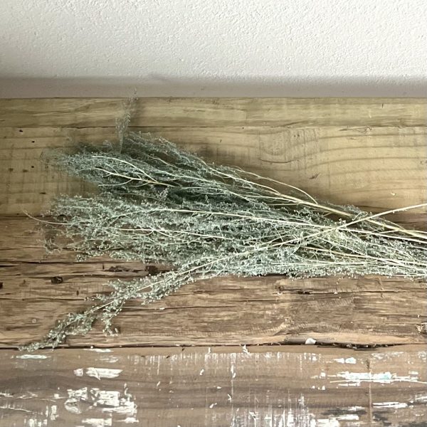 D48CD72C-6171-4646-9A93-08B9CB50B958 D48CD72C-6171-4646-9A93-08B9CB50B958