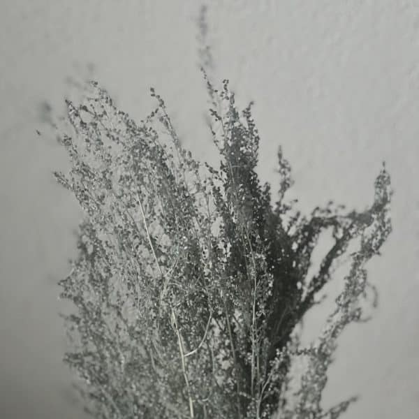 F4E623C7-F8C6-4B0B-A8E0-6B56F232D361 F4E623C7-F8C6-4B0B-A8E0-6B56F232D361