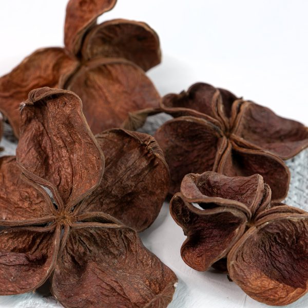 1050004-Enhanced-NR 1050004-Enhanced-NR