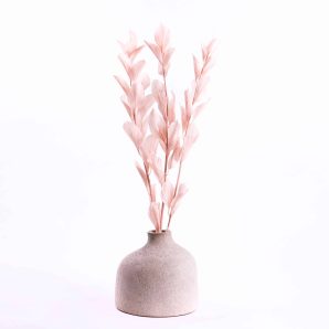 Konserverad ruscus garden pinkbeige1