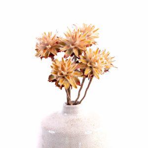 Plumosum, natural