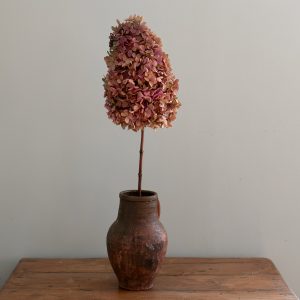 Konserverad hortensia, toppig, pink n' green