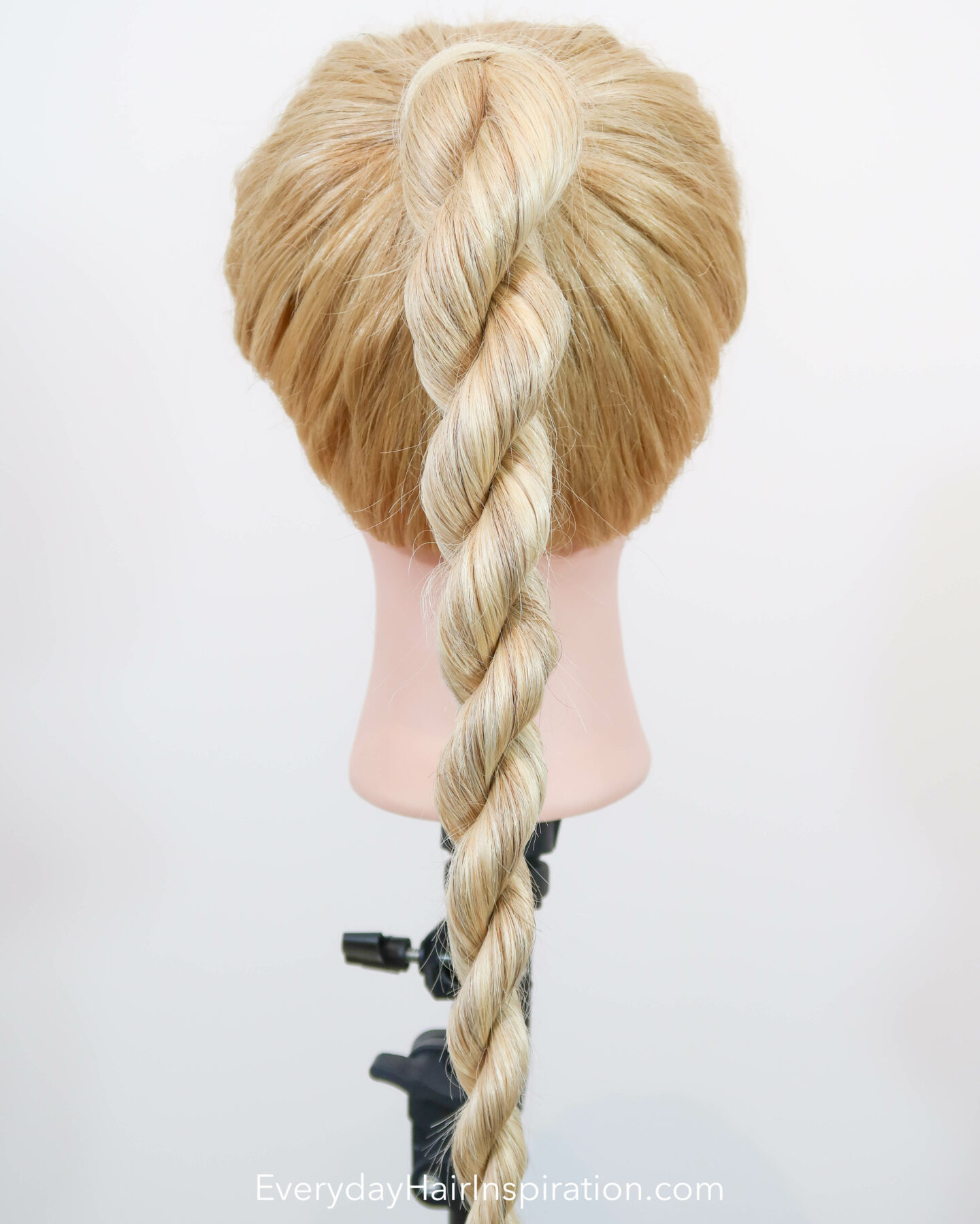 Easy French-Braid Ponytail With How-to Tutorial Photos