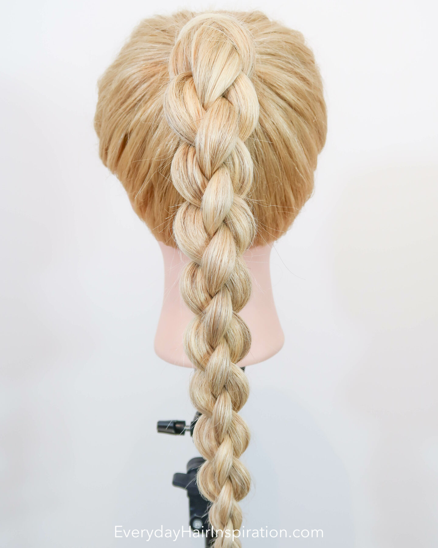 Blonde hairdresser doll seen from the back with a high ponytail with a 4 strand round braid, braided in the hair. 