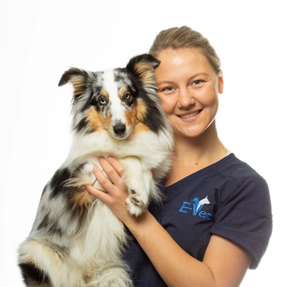 Eli Beate Sæther. Veterinær ved E-Vet as, dyreklinikk i Elverum