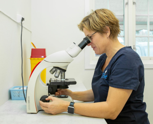 laboratorium, laboratorieundersøkelser, undersøkelse av prøver på E-Vet AS, dyreklinikk i Elverum