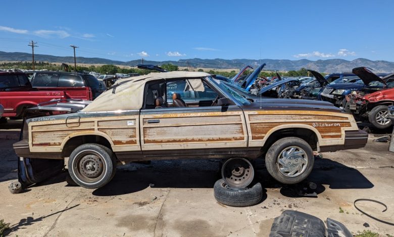 99-1983-Chrysler-LeBaron-Convertible-in-Colorado-junkyard-photo-by-Murilee-Martin.jpg