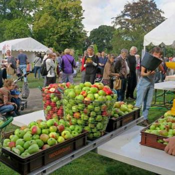 10. Lunds Kommun: Tält för kommunarrangemang.