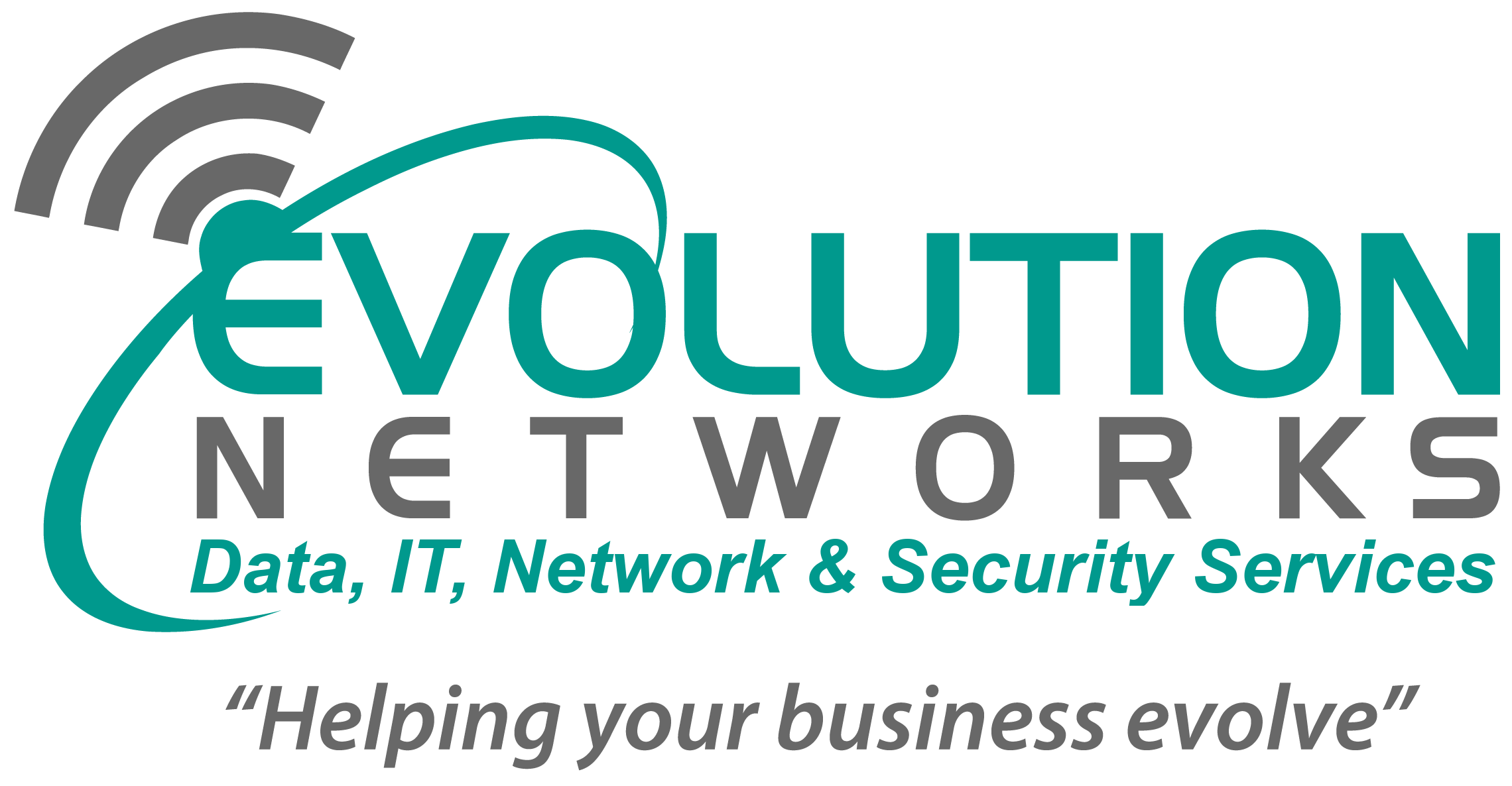 Evolution Network & Security Services Logo