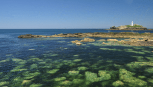 Waves of History: Infamous Stones Reef