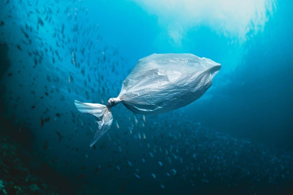 The Rise of Plastic Pollution