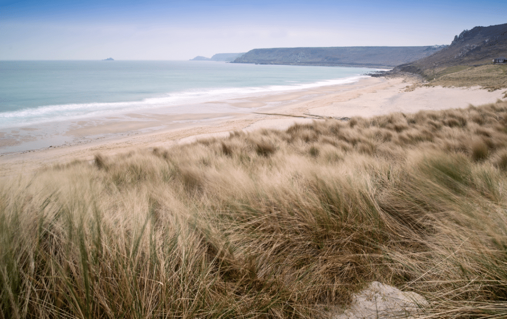 Unique Microclimates of Cornwall