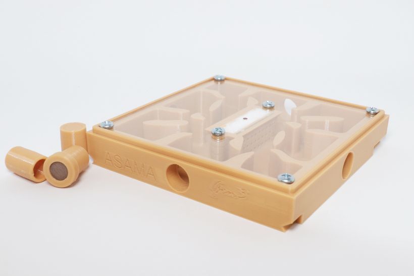3D-gedrucktes Ameisennest 3D-gedrucktes Ameisennest