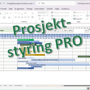 Prosjektstyring Pro