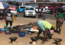 Angola – regering, slumkvarterer og højhuse