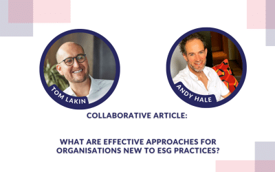 Collaborative Article: What are Effective Approaches for Organisations New to ESG Practices?