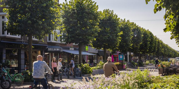 Centrumvisie Zeist: Strategisch Programma van Eisen Beeldkwaliteitsplan