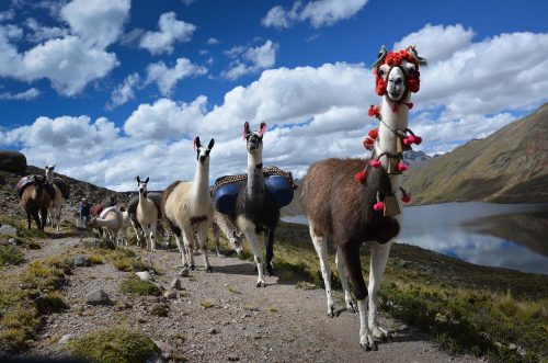 Viajes en Huancayo