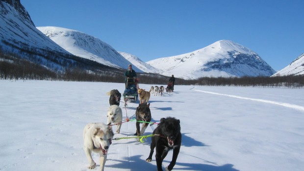 Hundspann i Åre