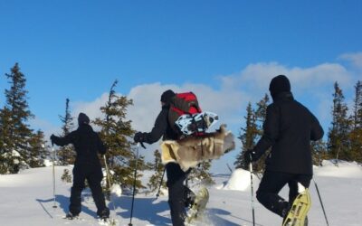 Snowshoeing with guide and local food in Åre