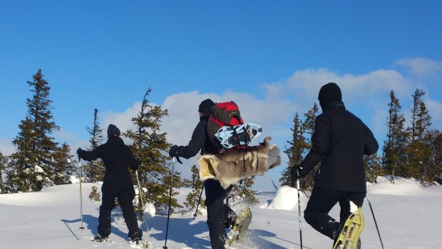 Snowshoeing with guide and local food in Åre