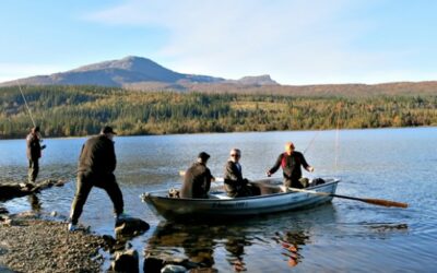 Fjällfiske i tjärn (Grupp)