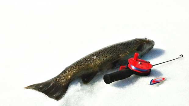 Guided ice fishing in Åre (eng)