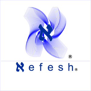 Lee más sobre el artículo Inicio de colaboración con Nefesh en la realización de cursos