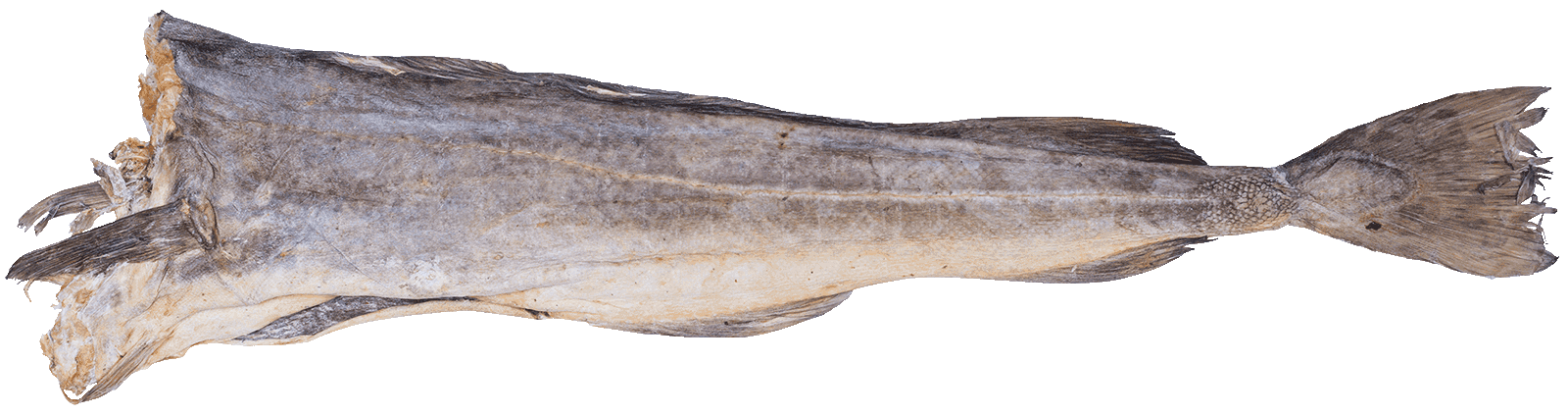 Dry Fish - Stockfish