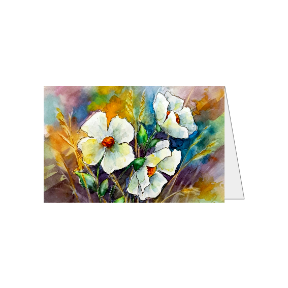Kleurrijke witte Klaprozen - Compact