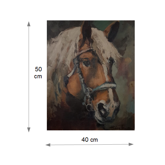 Impressiepaard - Maten