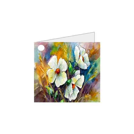 Kleurrijke witte Klaprozen – Mini