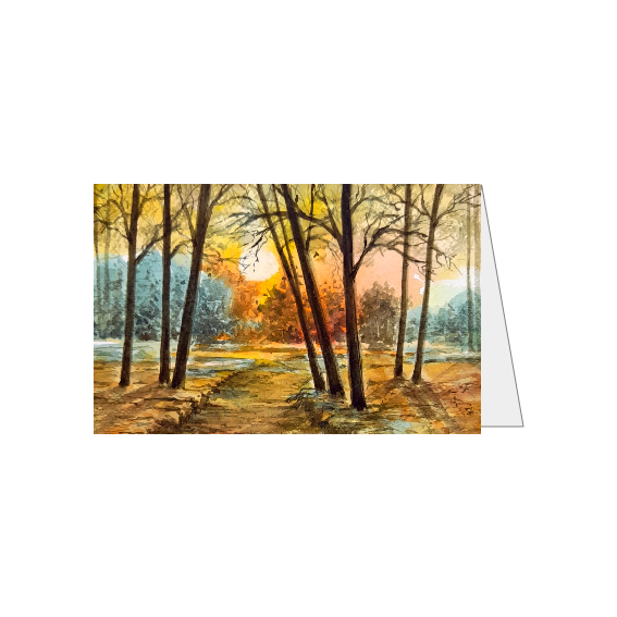 Prachtige Zonsondergang Landschap - Compact